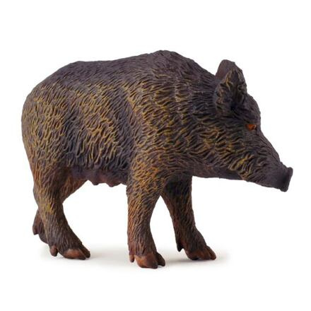 Collecta Prase divoké kanec