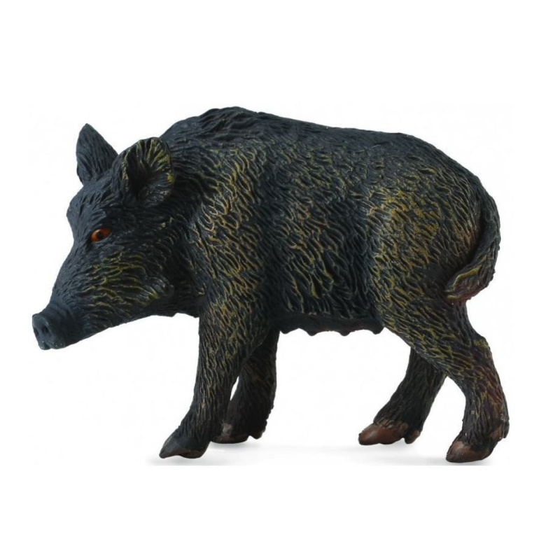 Collecta Prase divoké kanec