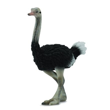 COLLECTA Pštros