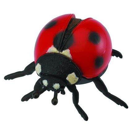 COLLECTA Beruška