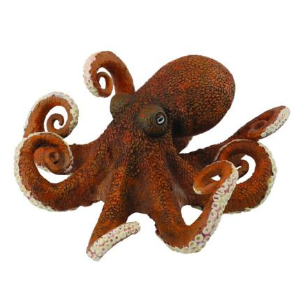 Collecta Chobotnice