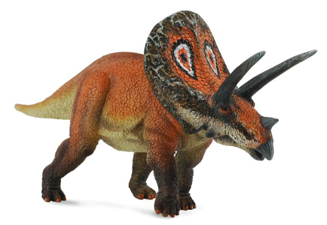 Collecta torosaurus