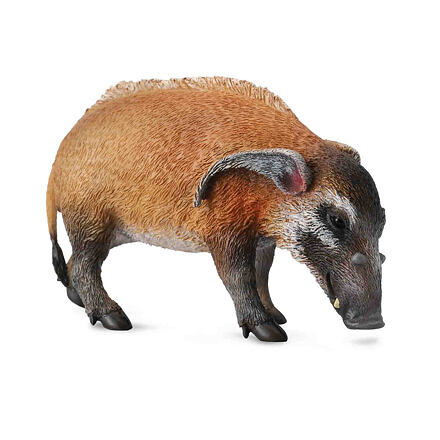 COLLECTA Štětkoun africký