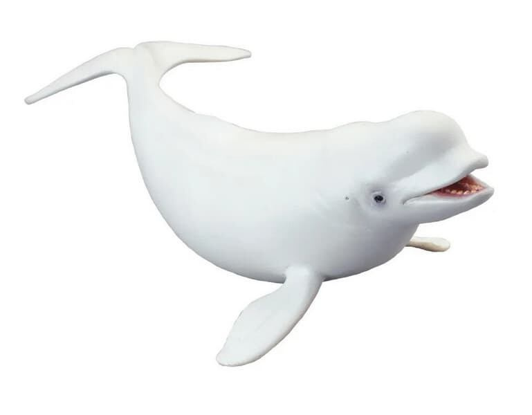 COLLECTA Běluha severní