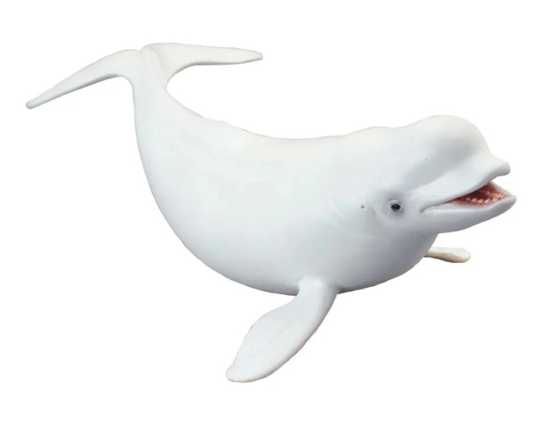 COLLECTA Běluha severní