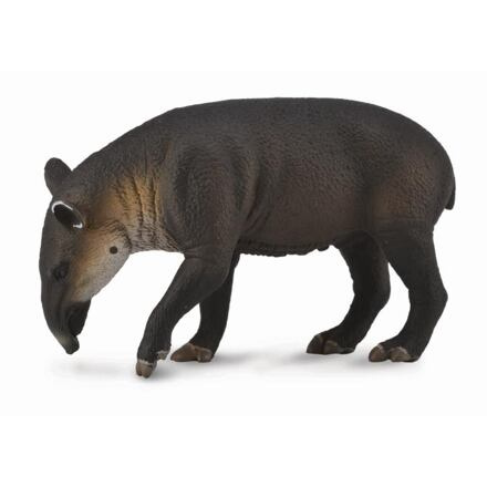 Tapír