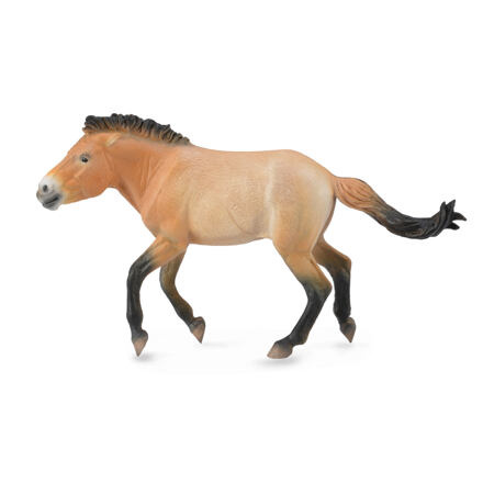 Collecta Kůň Převalského