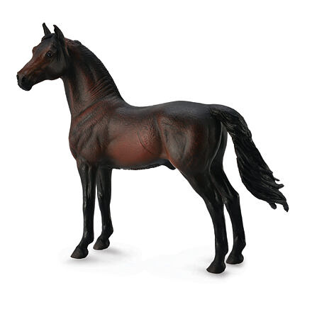 Collecta koně Morgan hnědák