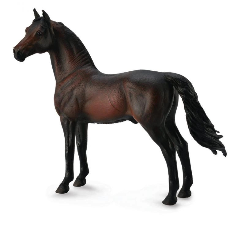 Collecta koně Morgan hnědák