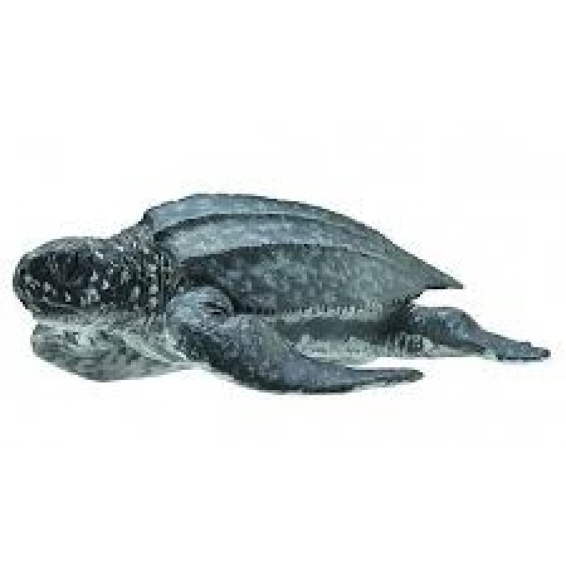 COLLECTA Kožatka velká