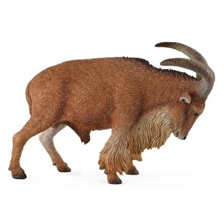 Paovce hřivnatá Collecta