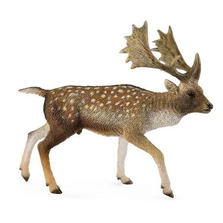 Collecta Daněk evropský