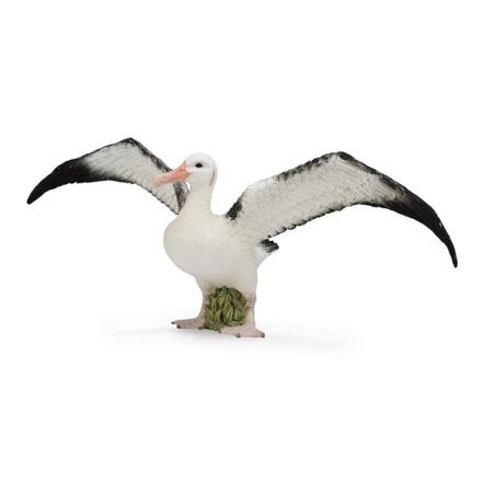 Collecta Albatros stěhovavý