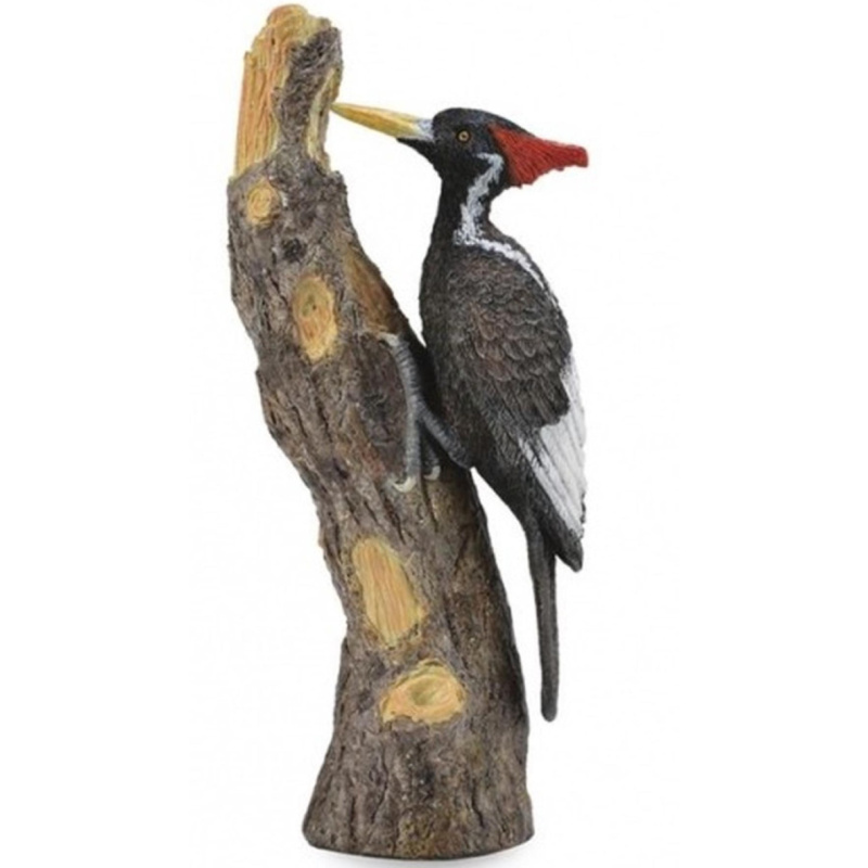 Collecta Datel knížecí