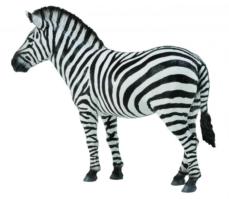 Collecta Divoká zvírátka zebra