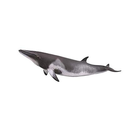 COLLECTA Velryba