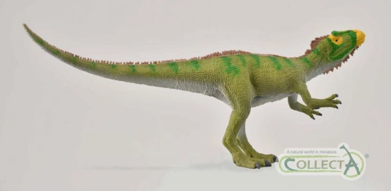 Collecta Neovenator