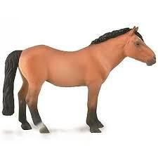 Collecta Hřebec mongolského koně