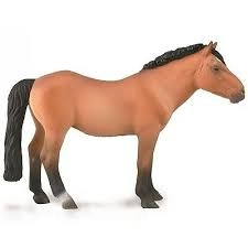Collecta Hřebec mongolského koně