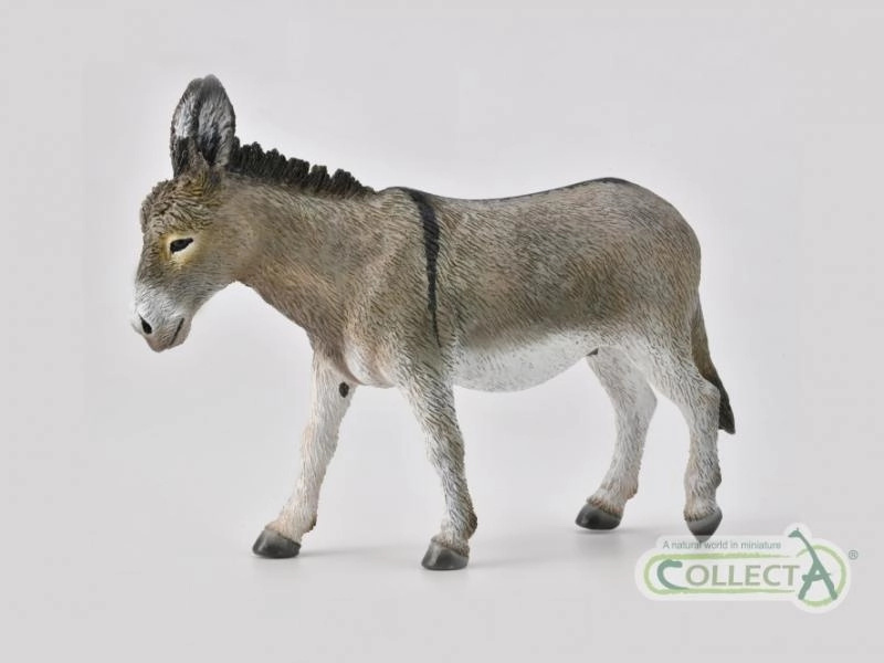 Collecta Osel