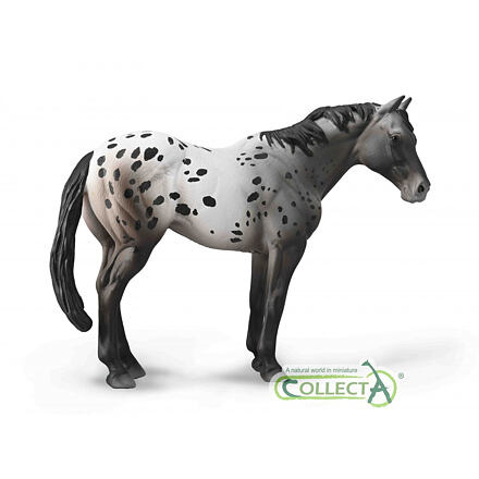 Collecta Appaloosa Blue grošák