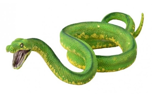 Collecta krajta zelená