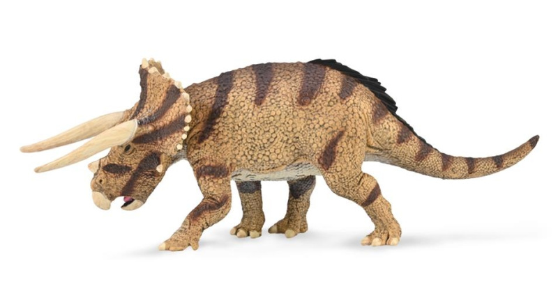 Triceratops horridus