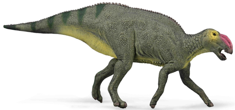 Collecta hadrosaurus