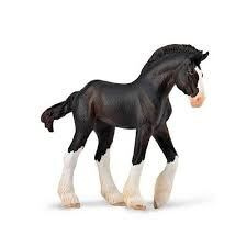 Collecta hříbě clydesdale black