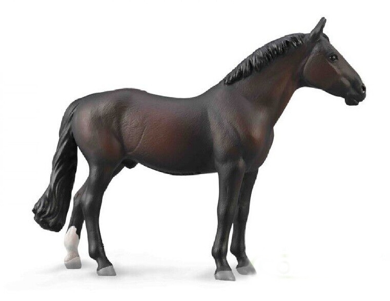 COLLECTA Holštýnský hřebec - bay