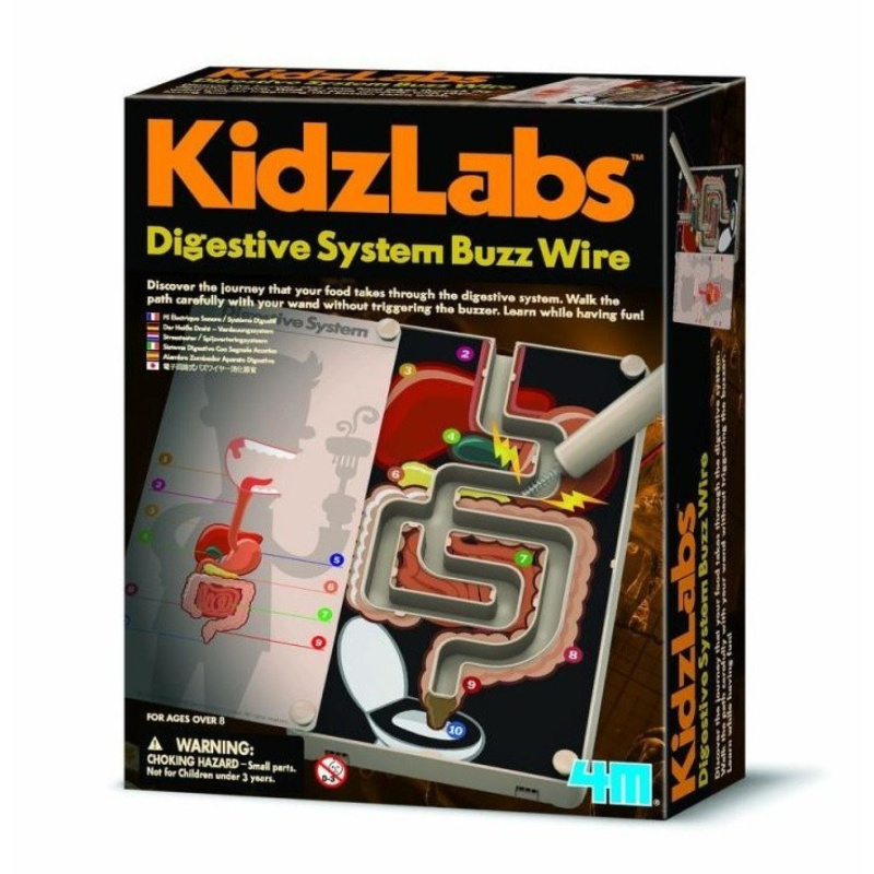 Kidzlabs trávící systém