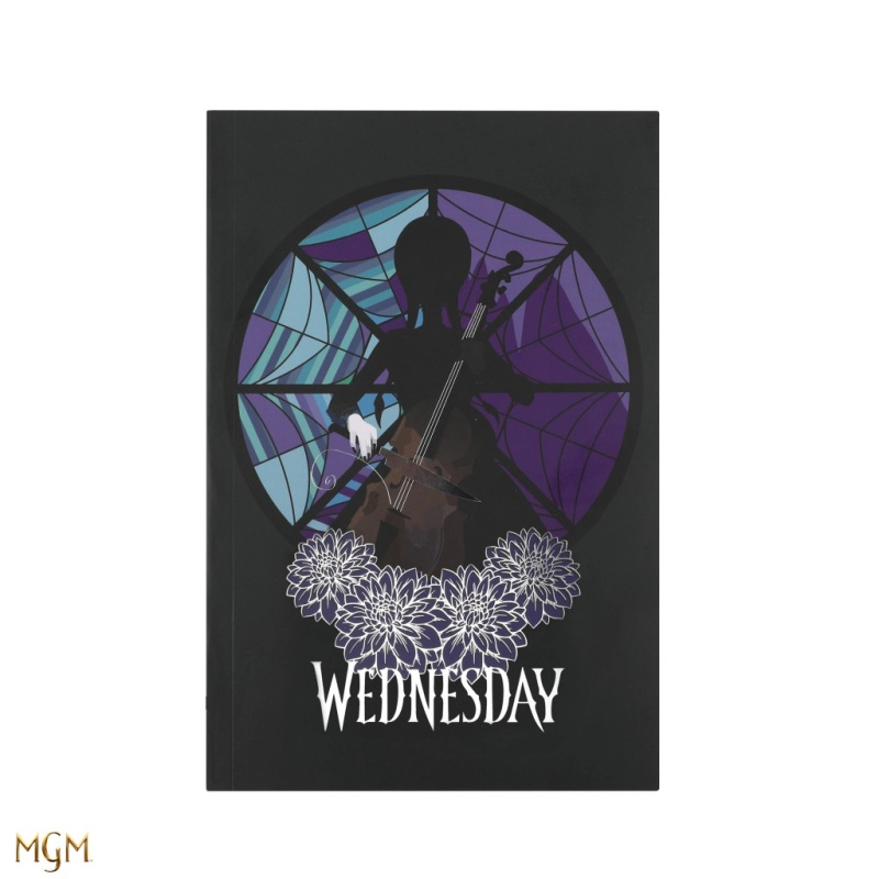 Wednesday Zápisník - Cello and Stained Glass