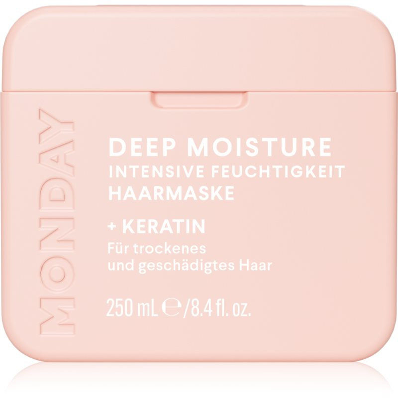 MONDAY Moisture intenzivní hydratační maska pro suché vlasy 250 ml
