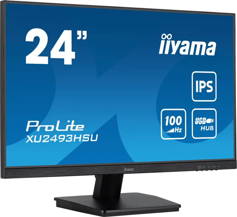 iiyama ProLite XU2493HSU-B7 Černá