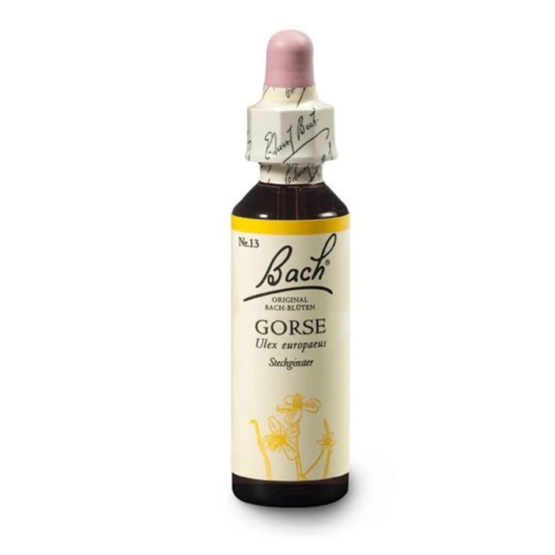 Bach Esence Nr. 13 Gorse, 20ml