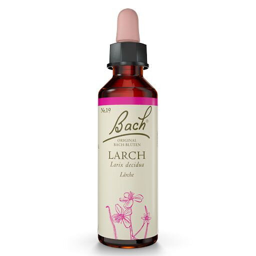 Bach Esence Nr. 19 Larch, 20ml