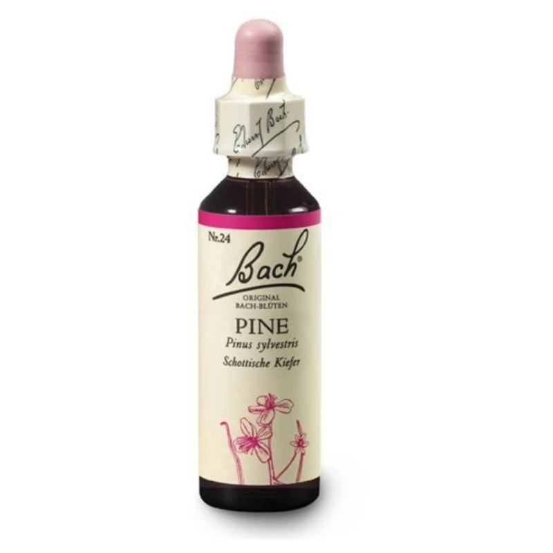 Bach Esence Nr. 24 Pine, 20ml