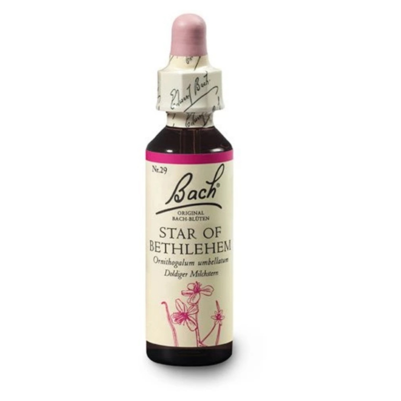 Bach Esence Nr. 29 Star of Bethlehem, 20ml