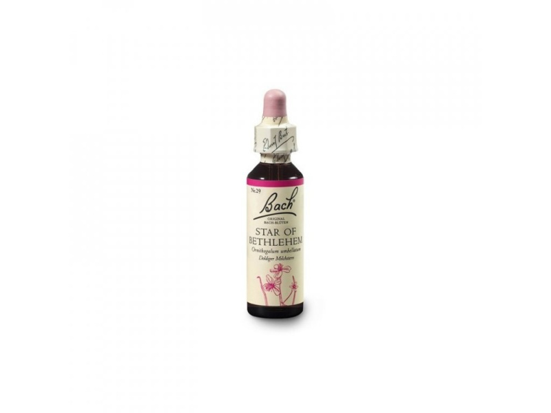 Bach Esence Nr. 29 Star of Bethlehem, 20ml