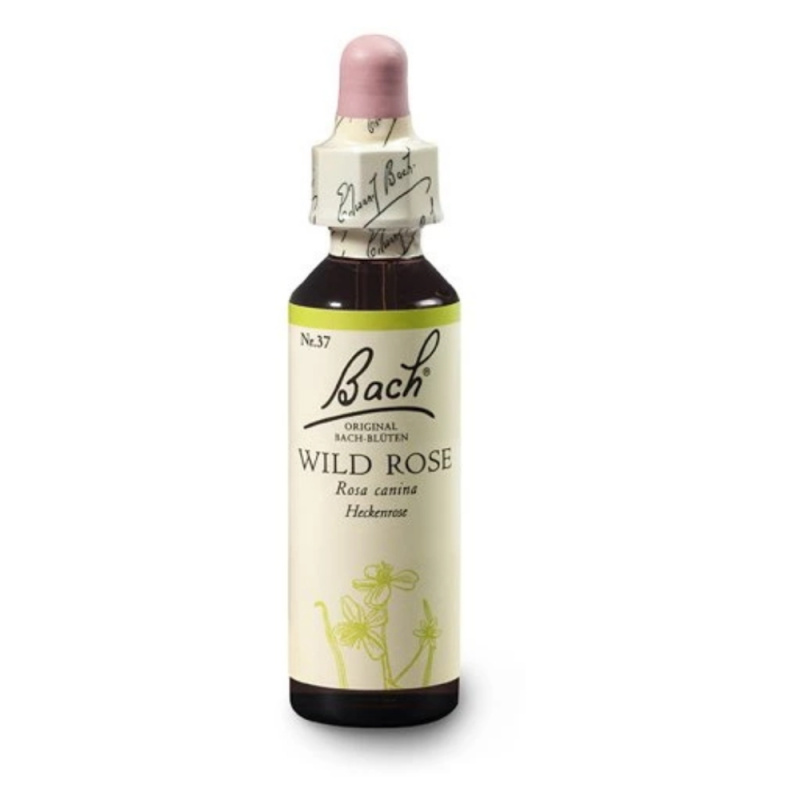 Bach Esence Nr. 37 Wild Rose, 20ml
