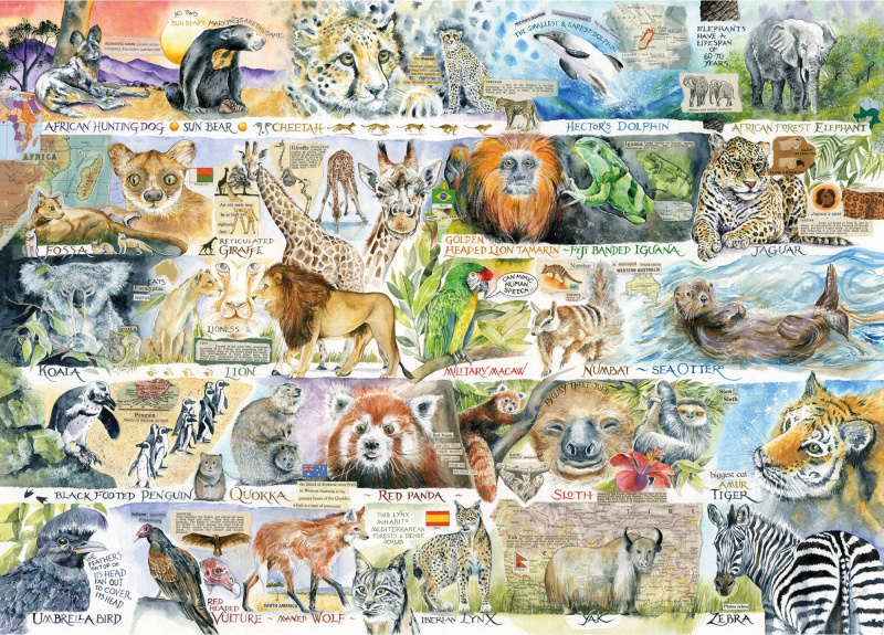 Puzzle Medvědi a lenochodi 1000 dílků GIBSONS