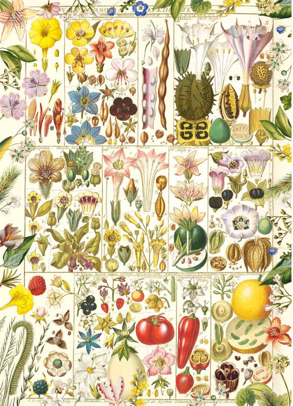 Puzzle Botanická blaženost 1000 dílků