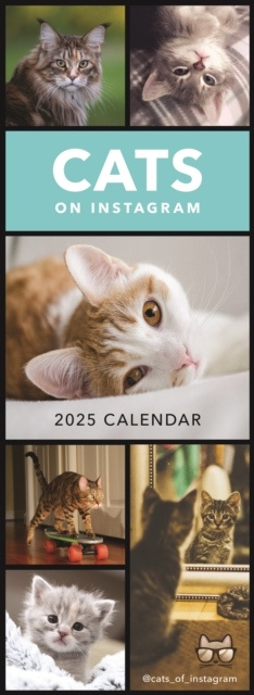 Cats on Instagram Slim Calendar 2025 nezadán