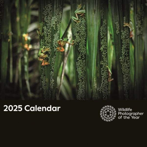 Wildlife Photographer of the Year Square Wall Calendar 2025 nezadán
