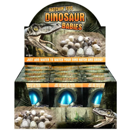 Rostoucí vejce Dinosaurus 1ks (mix)