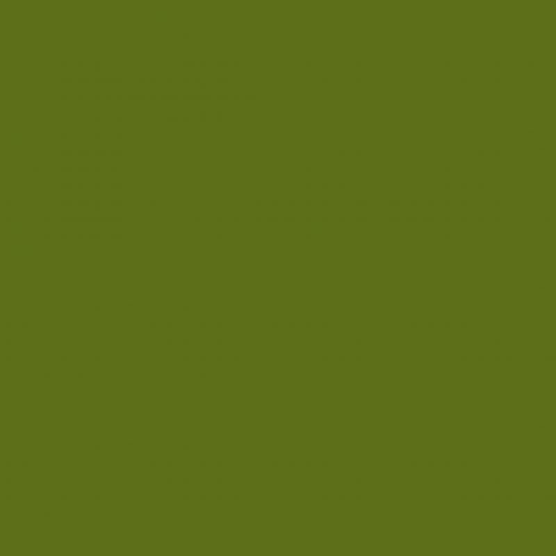 Procolour 52 Olive Green