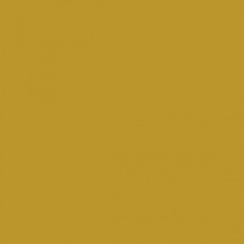 Procolour 59 Brown Ochre