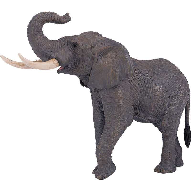 Mojo Slon africký