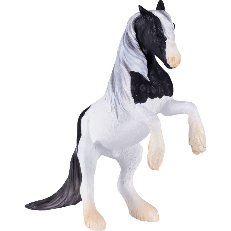 Mojo Hřebec Gypsy Vanner