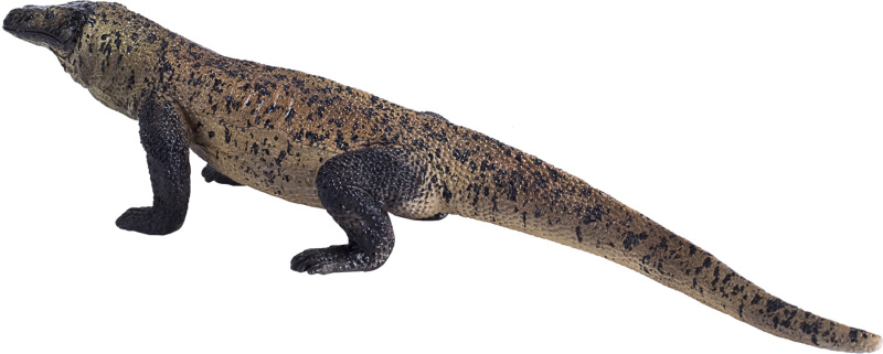 Mojo varan komodský